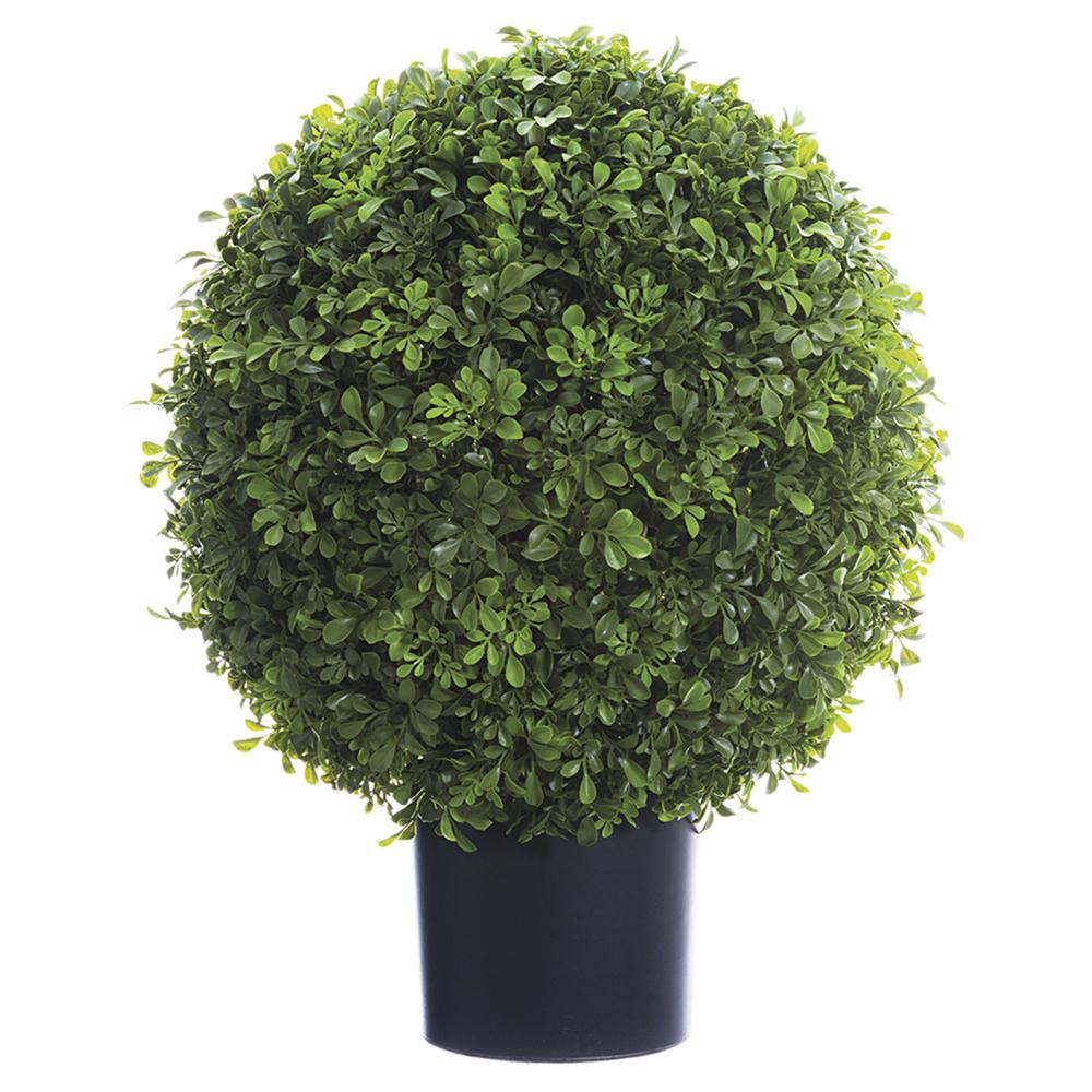 Boxwood Ball Topiary