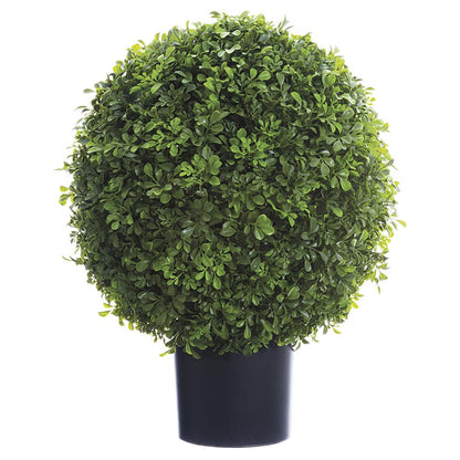 Boxwood Ball Topiary
