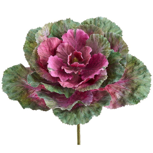 Ornamental Cabbage Pick