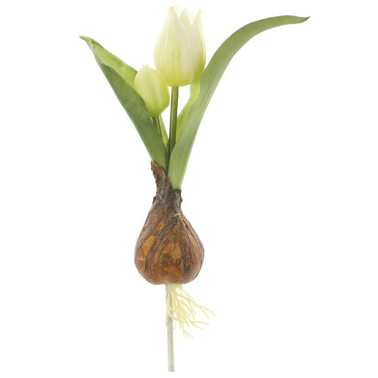 White Tulip Spray with Bulb