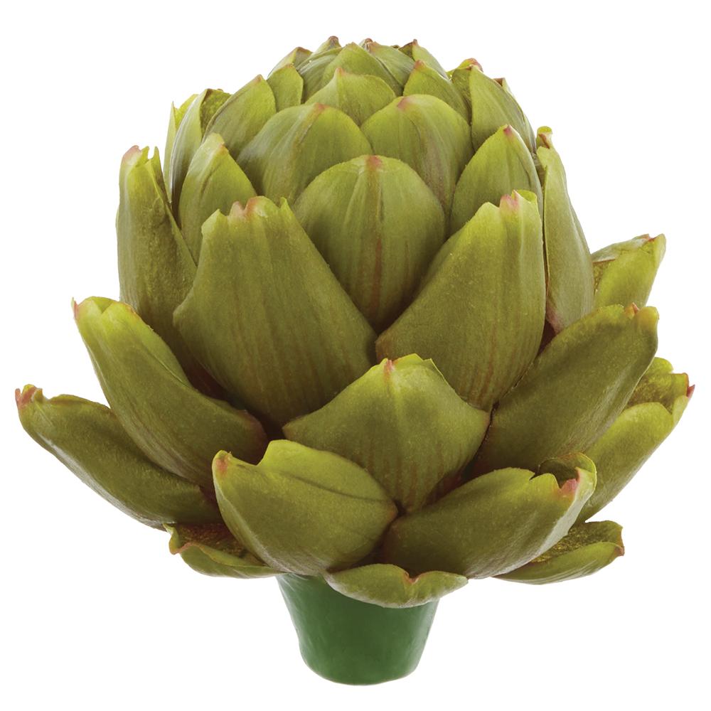 Large Green Artichoke