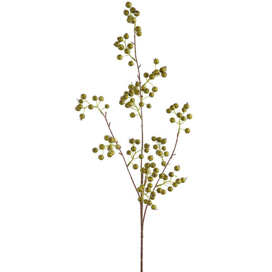 Green Berry Spray