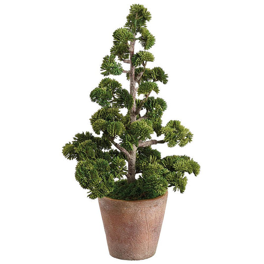 Ming Pinetree in Cement Pot