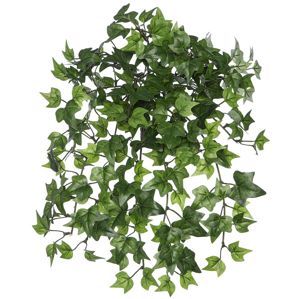 Mini Ivy Leaf Hanging Bush