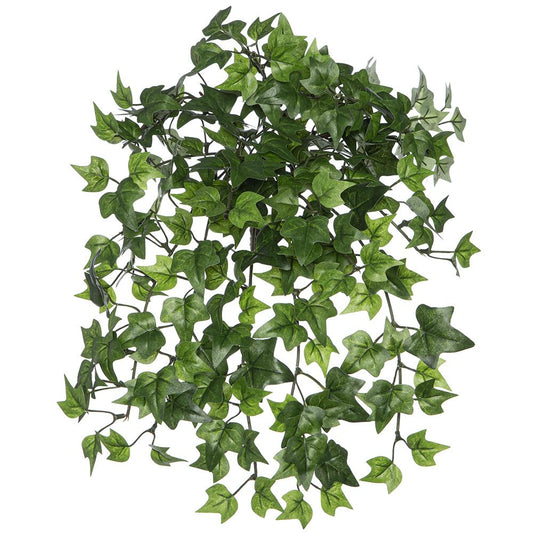 Mini Ivy Leaf Hanging Bush