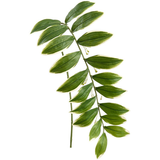 Solomon's Seal Spray