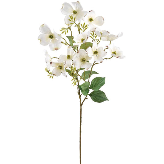 Dogwood Spray