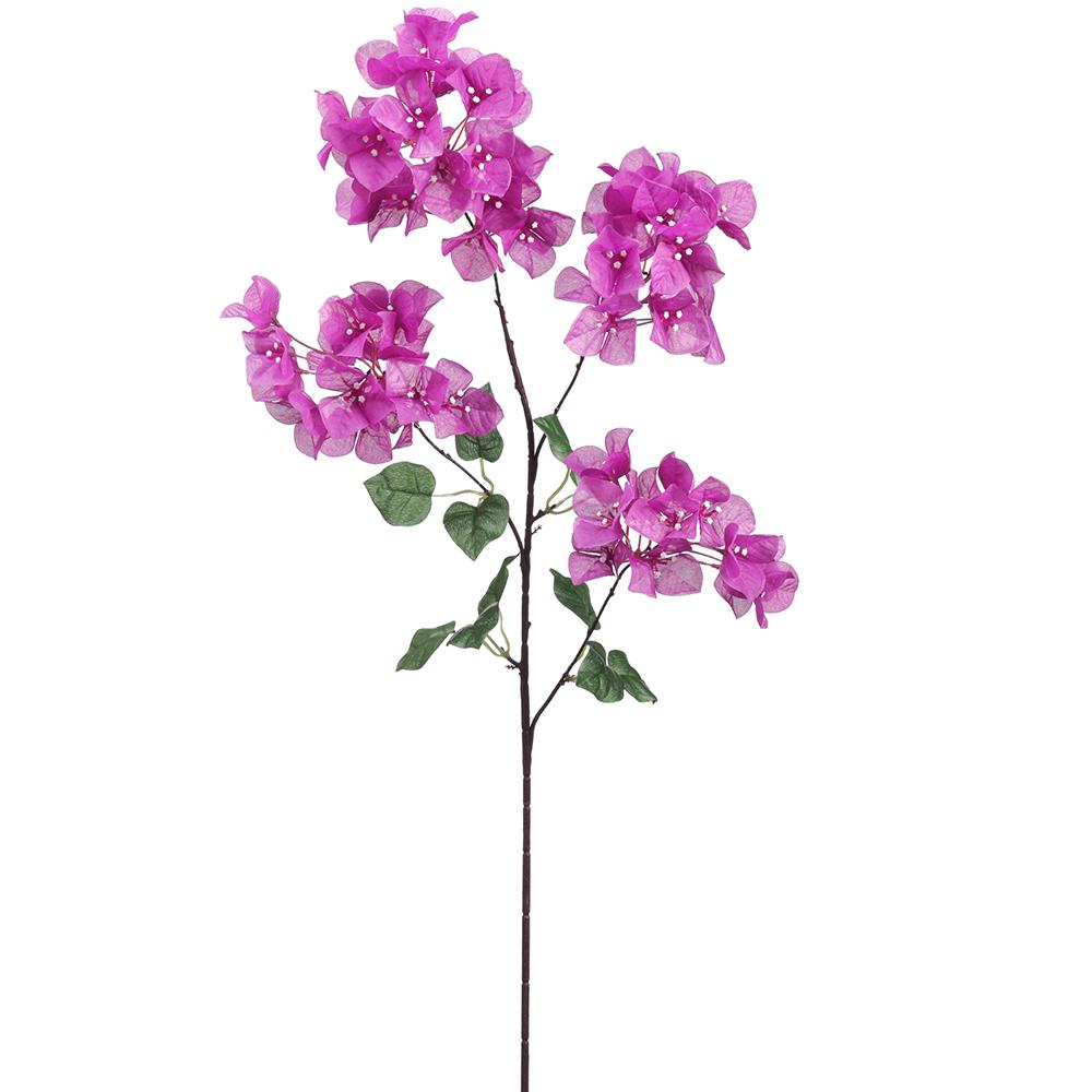 Bougainvillea Spray