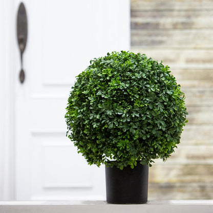 Boxwood Ball Topiary