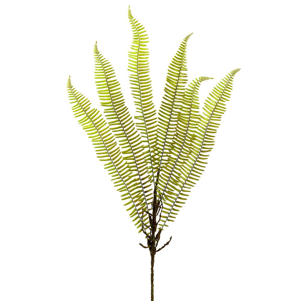 Sword Fern Spray
