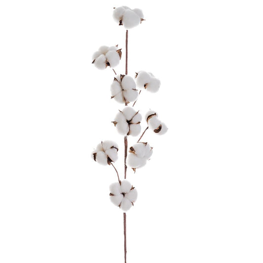 Cotton Pod Spray