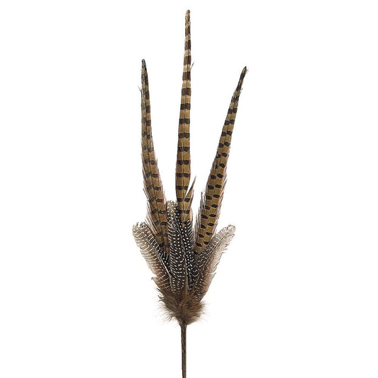 Pheasant Feather Spray