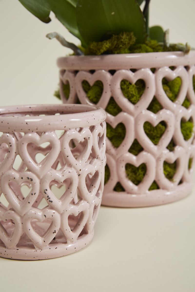 Cherished Hearts Orchid Pot 7"