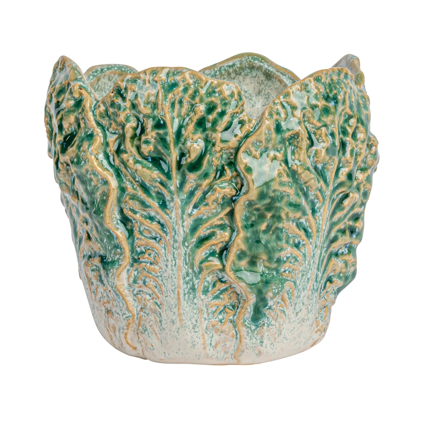 Cabbage Container