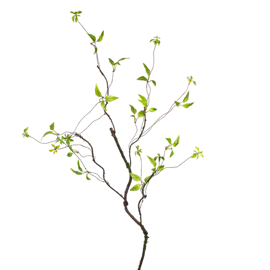 Twig Spray
