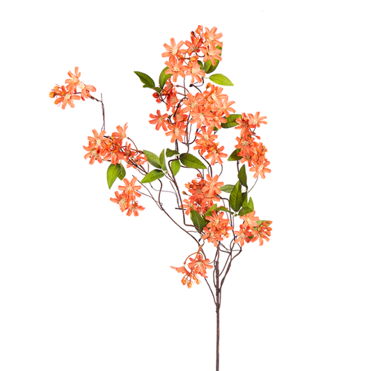 Salmon Wild Flower