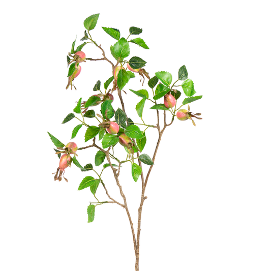 Salmon Rose Hip Spray