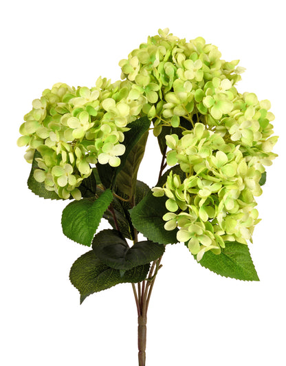 5-Stemmed Hydrangea