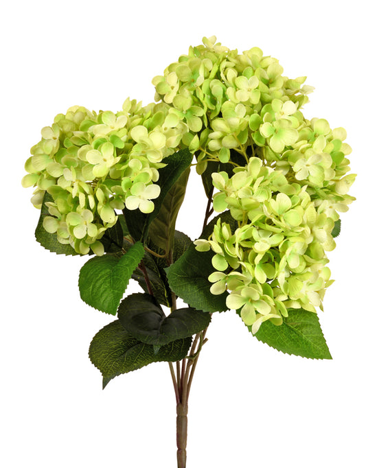 5-Stemmed Hydrangea