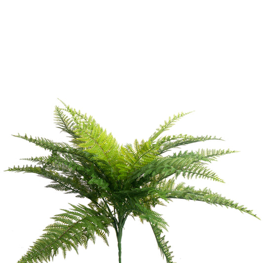 Medium Fern