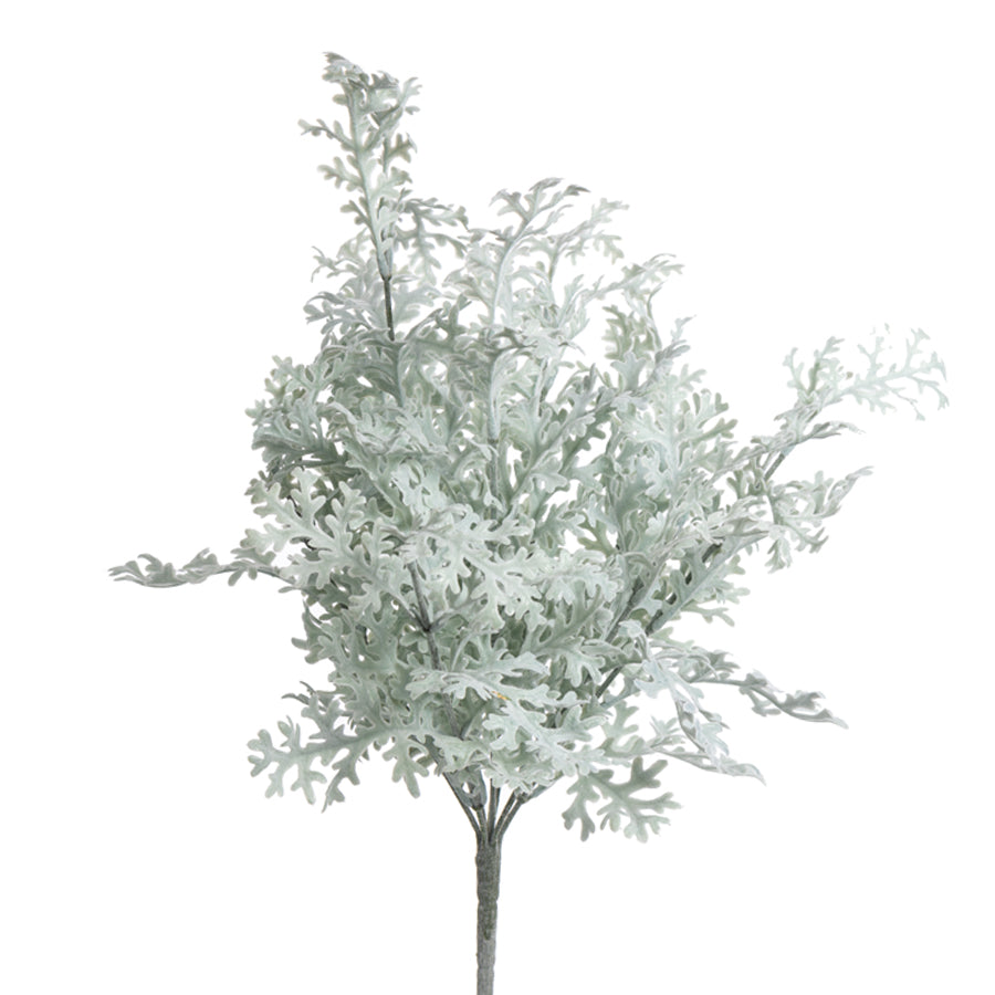 Dusty Miller Bunch