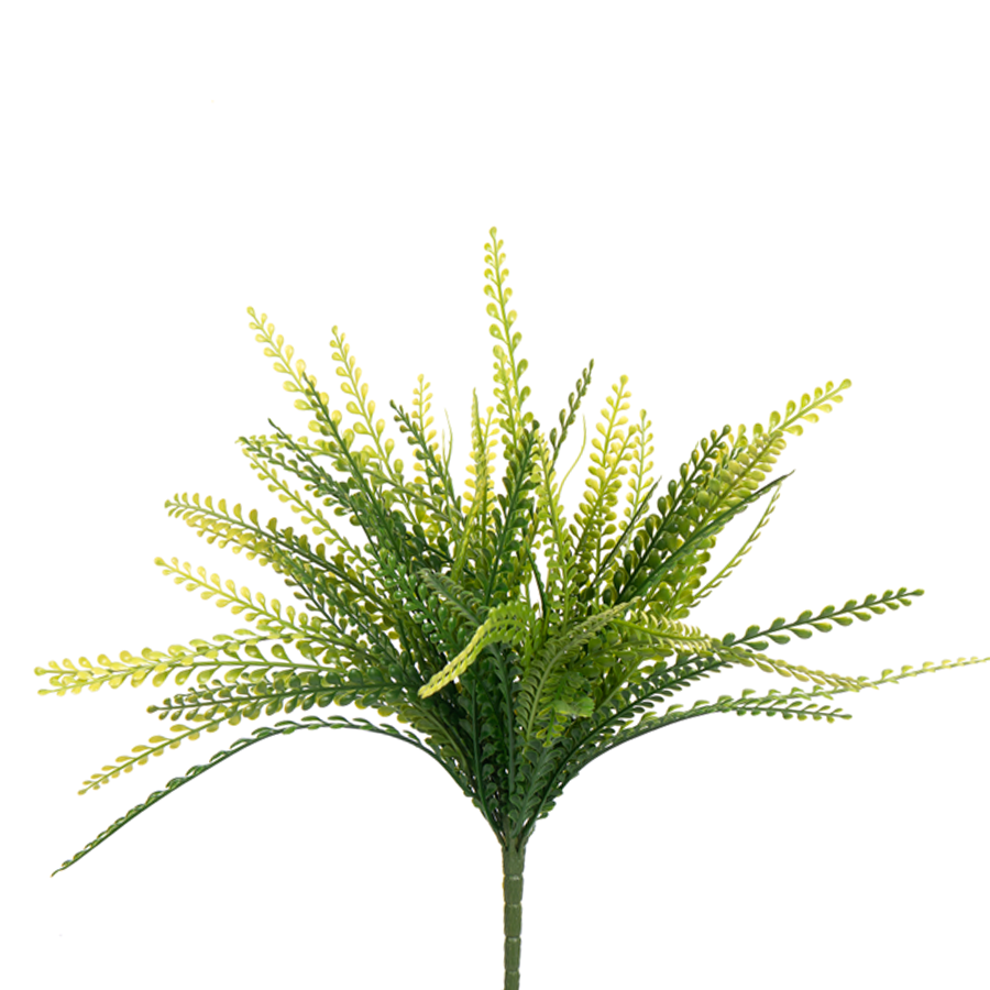 Small Grass Bush