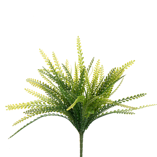 Small Grass Bush