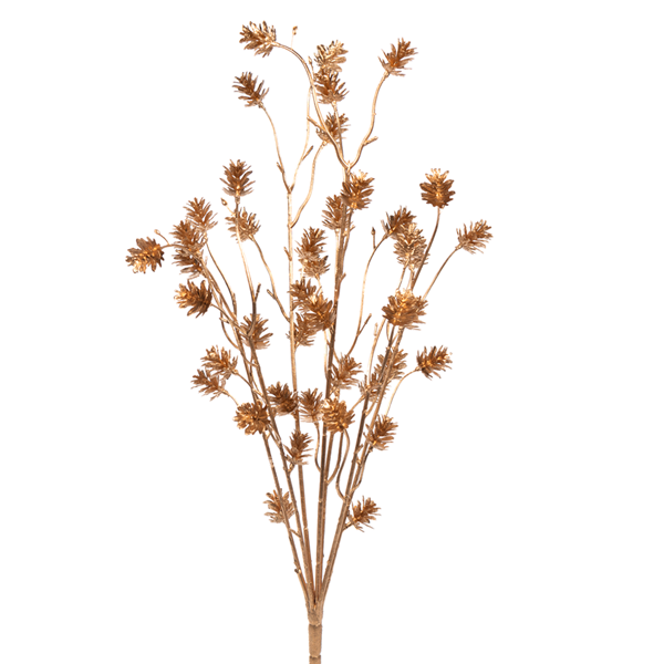 Pine Cone Bush Gold