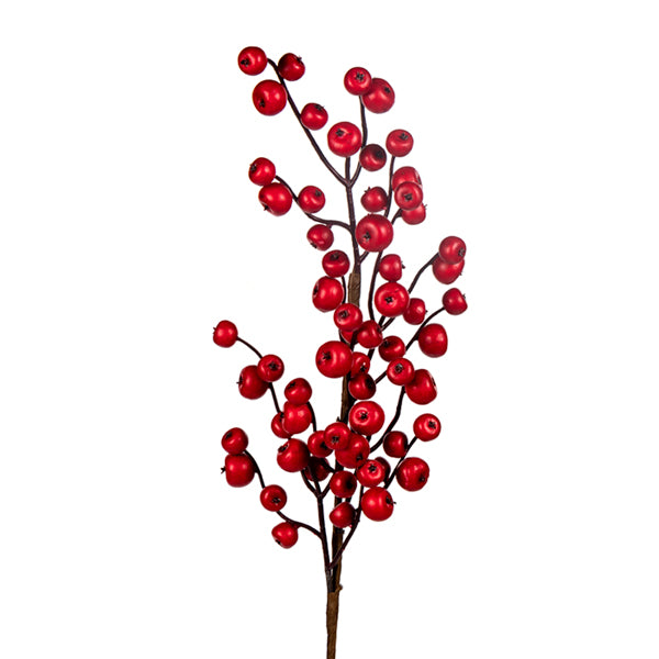 Red Berry Spray for Outdoor