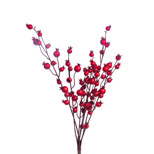 Mountain Red Berry Bundle