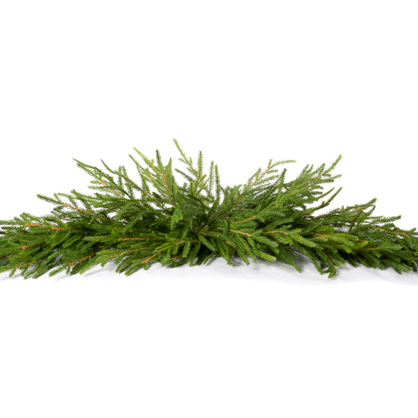 Austrian Pine Swag