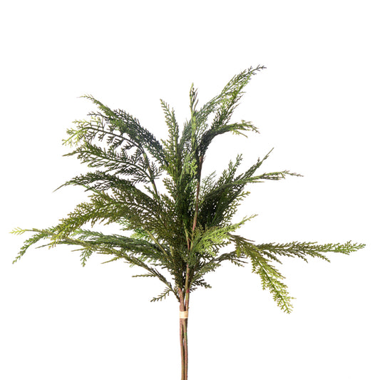 Cedar Bundle