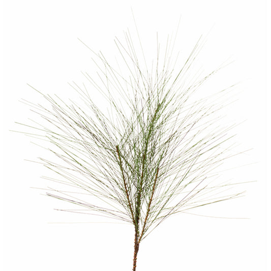 Long Needle Spray